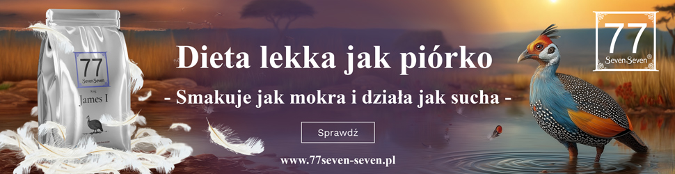 77 Seven Seven x Karmito