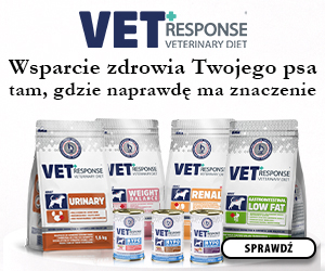 VET RESPONSE x Karmito